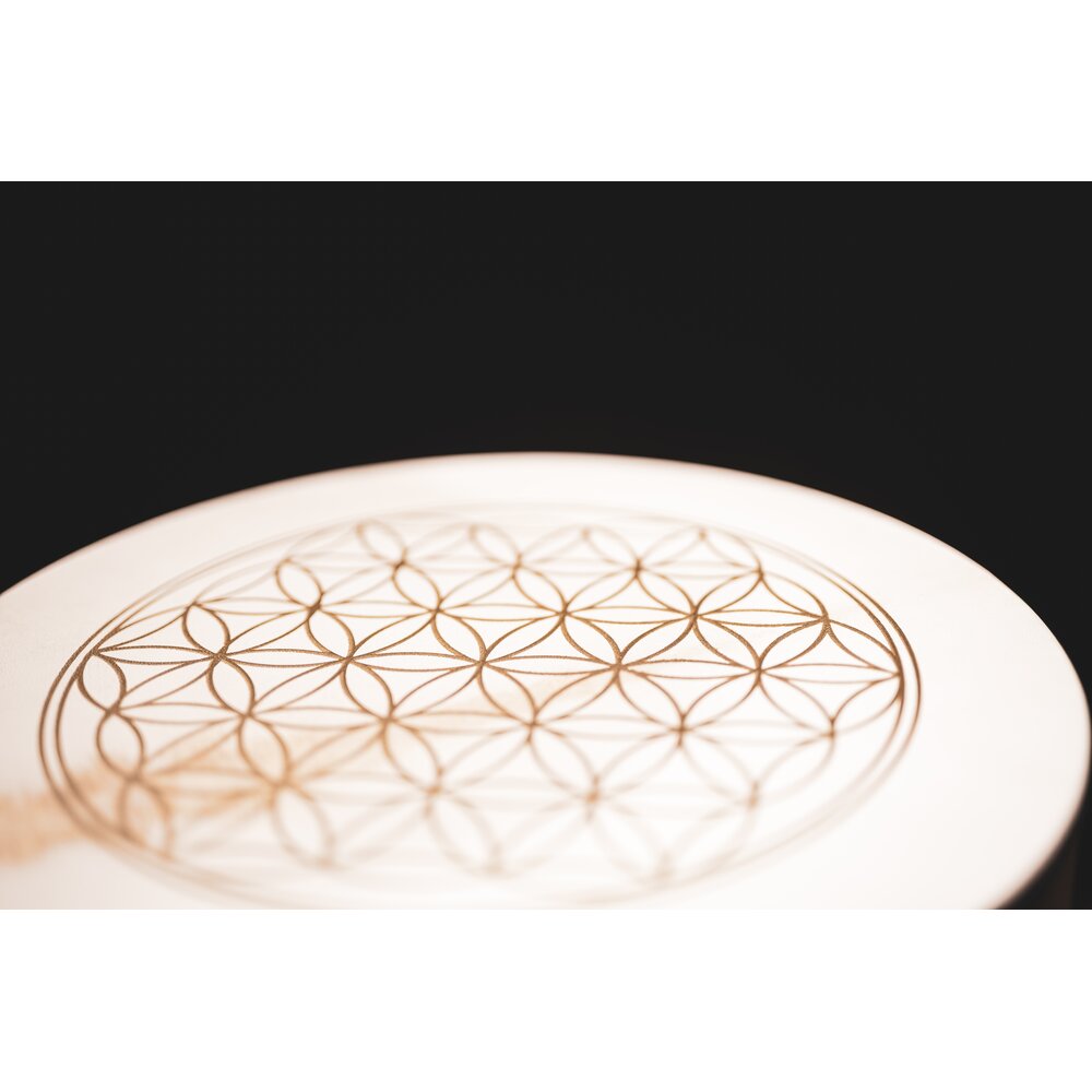 HD16WB-FOL - Your Sound Journey - Meinl Sonic Energy